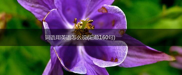 词语用英语怎么说(汇总160句),第1张