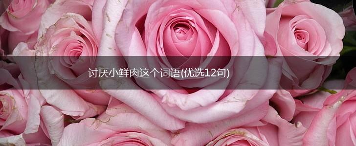 讨厌小鲜肉这个词语(优选12句),第1张