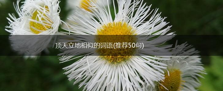 顶天立地相似的词语(推荐50句),第1张