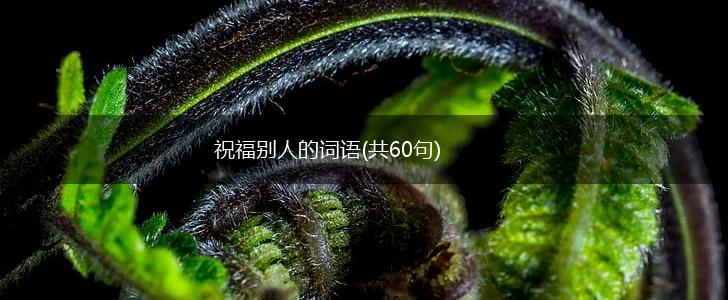 祝福别人的词语(共60句),第1张 祝福别人的词语(共60句),第1张
