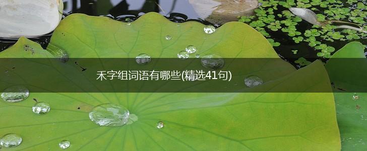 禾字组词语有哪些(精选41句),第1张
