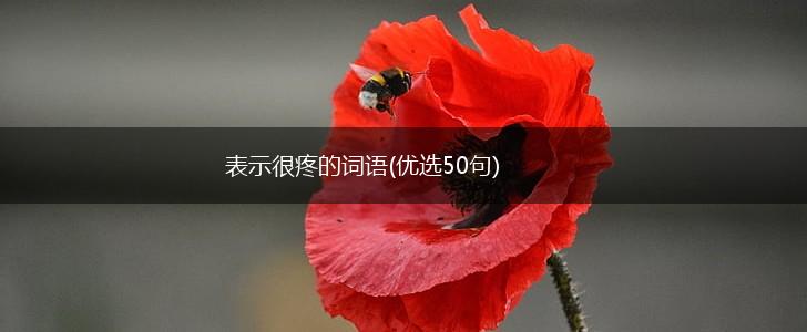 表示很疼的词语(优选50句),第1张 表示很疼的词语(优选50句),第1张