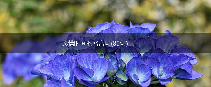 珍惜时间的名言句(80句),第1张