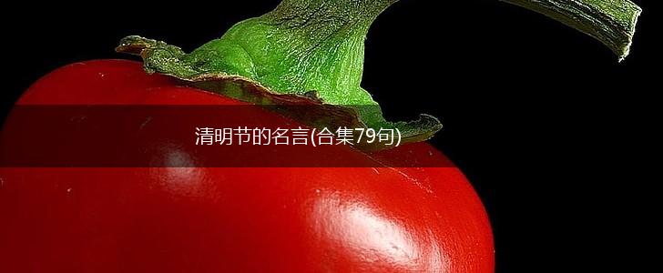 清明节的名言(合集79句),第1张