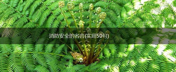 消防安全的名言(实用50句),第1张