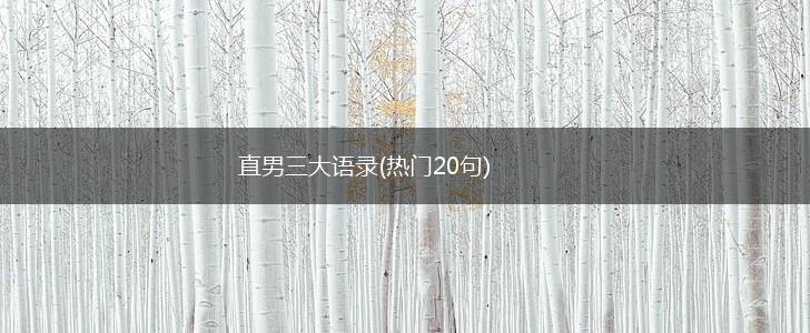 直男三大语录(热门20句),第1张