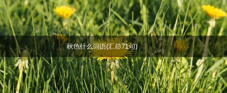 秋色什么词语(汇总71句),第1张 秋色什么词语(汇总71句),第1张