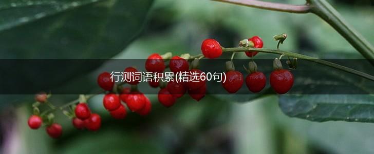 行测词语积累(精选60句),第1张