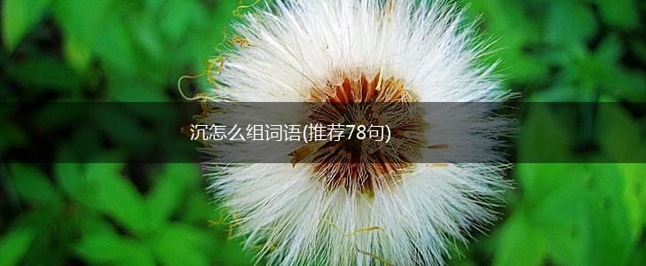 沉怎么组词语(推荐78句),第1张