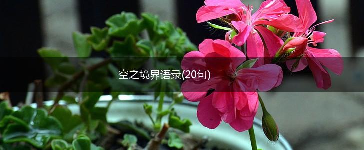 空之境界语录(20句),第1张