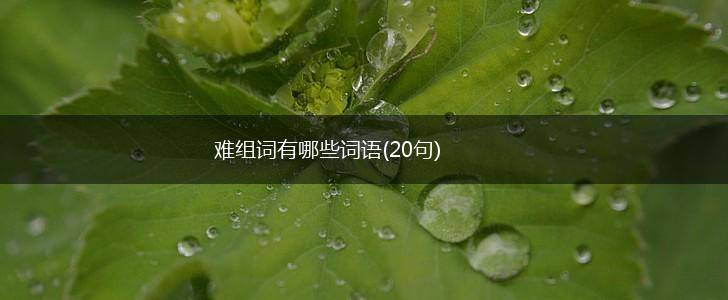 难组词有哪些词语(20句),第1张