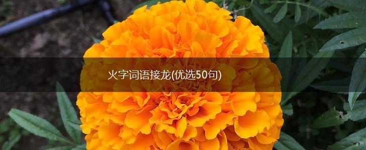 火字词语接龙(优选50句),第1张