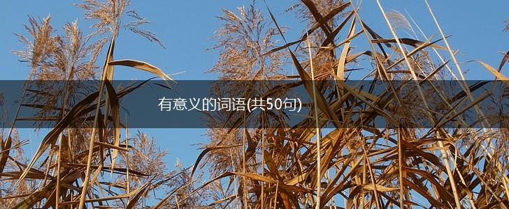 有意义的词语(共50句),第1张