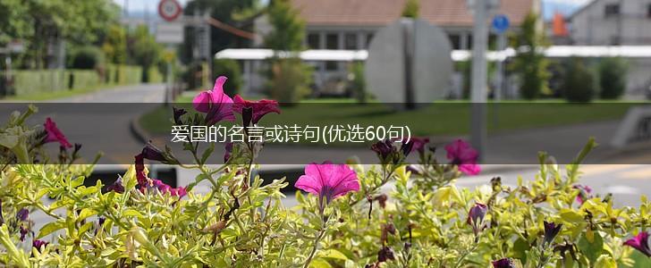 爱国的名言或诗句(优选60句),第1张 爱国的名言或诗句(优选60句),第1张