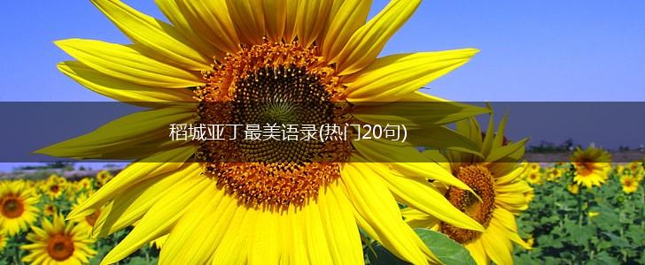 稻城亚丁最美语录(热门20句),第1张