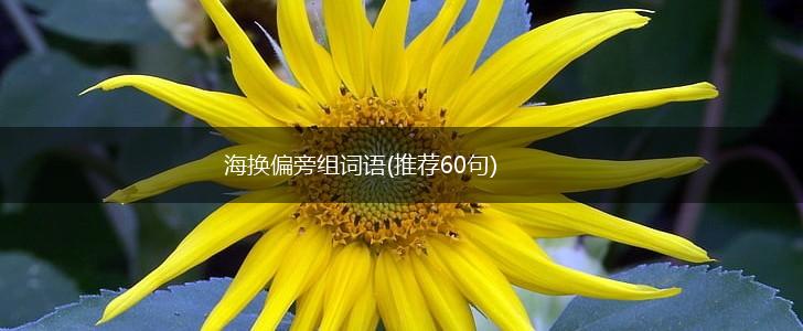 海换偏旁组词语(推荐60句),第1张