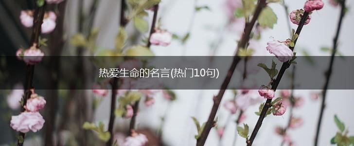 热爱生命的名言(热门10句),第1张