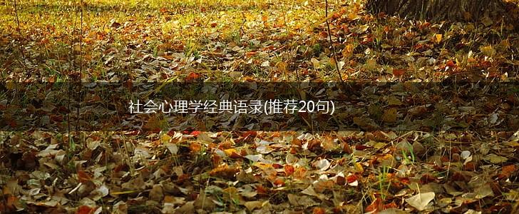 社会心理学经典语录(推荐20句),第1张