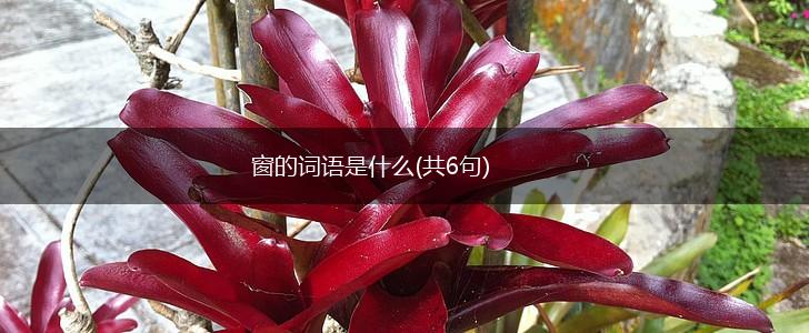 窗的词语是什么(共6句),第1张