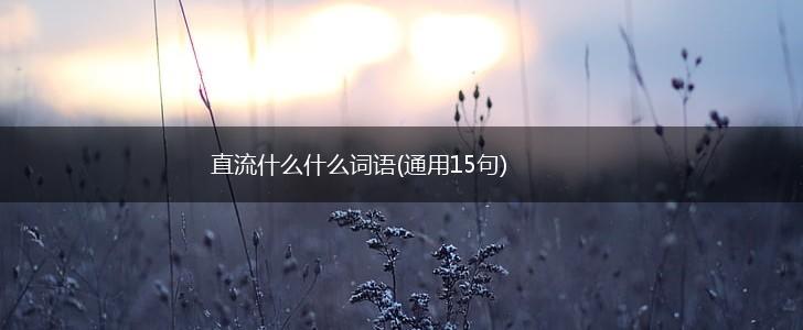 直流什么什么词语(通用15句),第1张