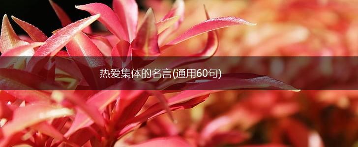 热爱集体的名言(通用60句),第1张