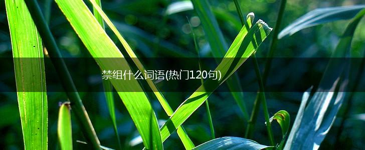 禁组什么词语(热门120句),第1张