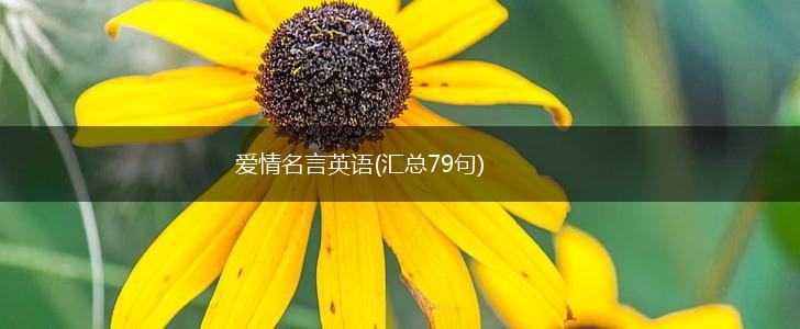 爱情名言英语(汇总79句),第1张