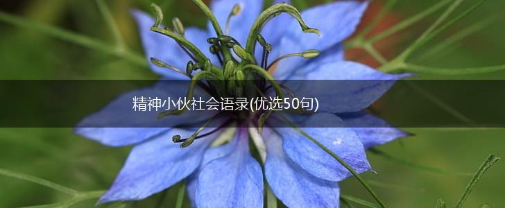 精神小伙社会语录(优选50句),第1张