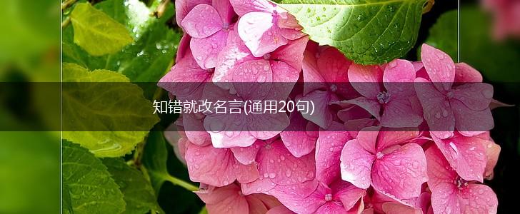 知错就改名言(通用20句),第1张