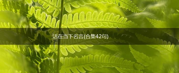 活在当下名言(合集42句),第1张