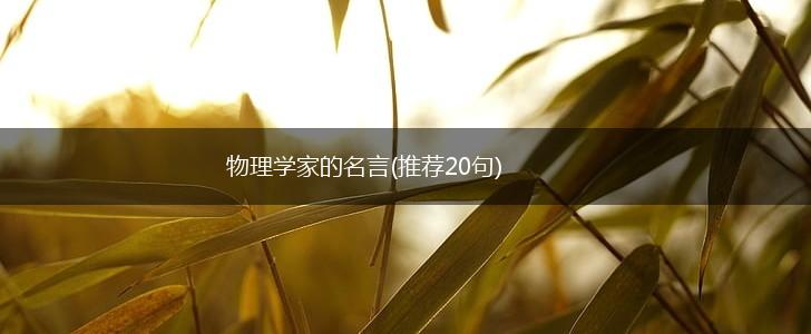 物理学家的名言(推荐20句),第1张