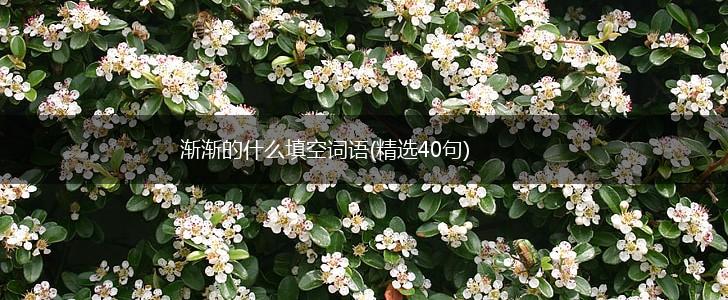 渐渐的什么填空词语(精选40句),第1张