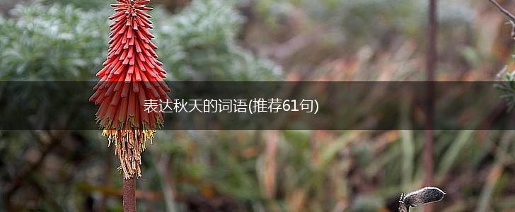 表达秋天的词语(推荐61句),第1张