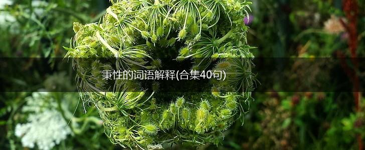 秉性的词语解释(合集40句),第1张 秉性的词语解释(合集40句),第1张