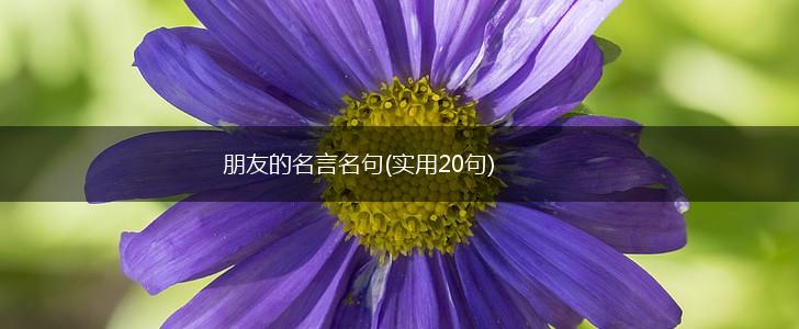 朋友的名言名句(实用20句),第1张