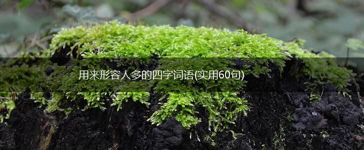 用来形容人多的四字词语(实用60句),第1张