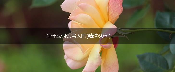 有什么词语骂人的(精选60句),第1张