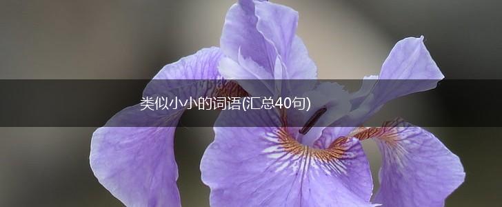 类似小小的词语(汇总40句),第1张