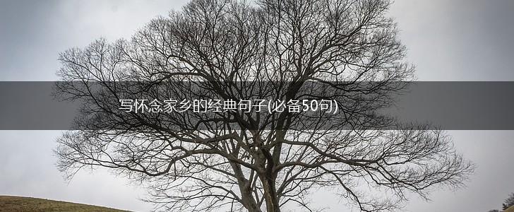写怀念家乡的经典句子(必备50句),第1张