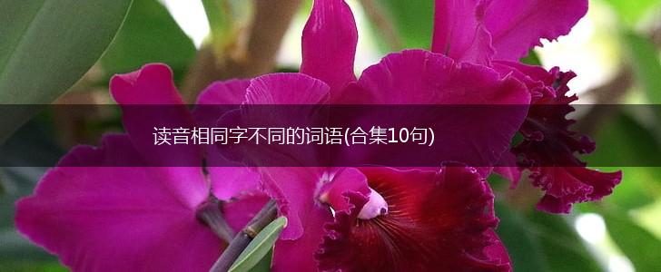 读音相同字不同的词语(合集10句),第1张 读音相同字不同的词语(合集10句),第1张