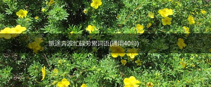 旅途奔波忙碌劳累词语(通用40句),第1张
