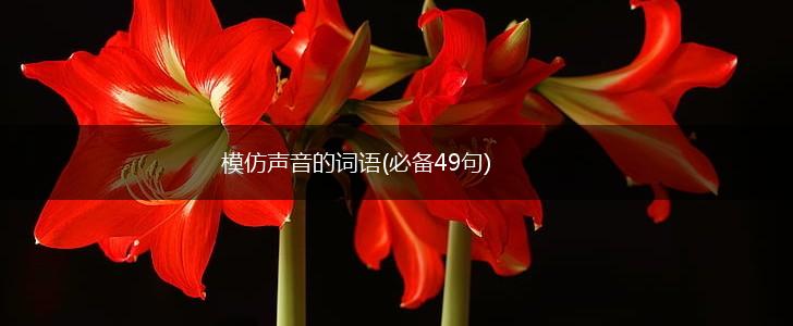 模仿声音的词语(必备49句),第1张