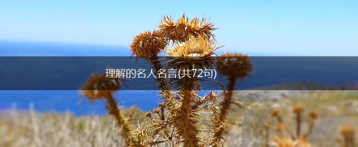 理解的名人名言(共72句),第1张