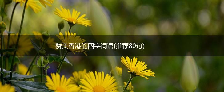 赞美香港的四字词语(推荐80句),第1张