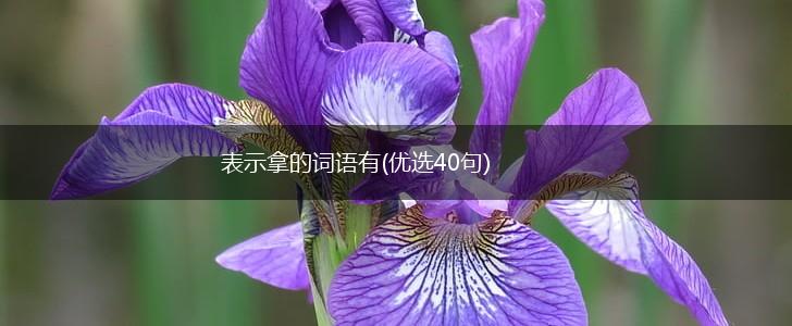 表示拿的词语有(优选40句),第1张