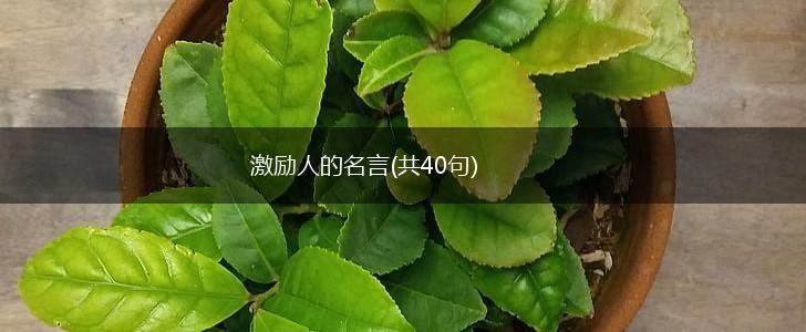 激励人的名言(共40句),第1张