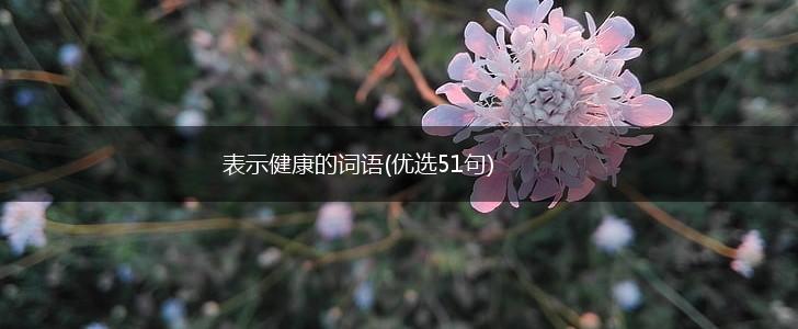 表示健康的词语(优选51句),第1张