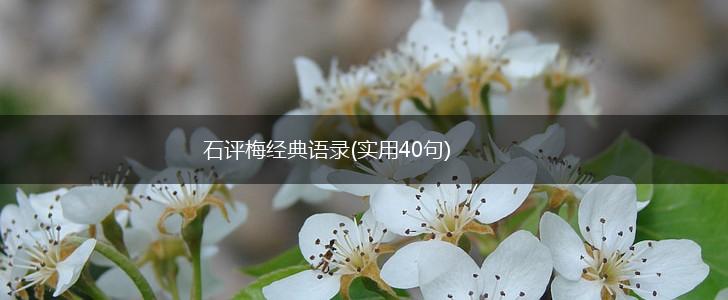 石评梅经典语录(实用40句),第1张