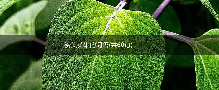 赞美英雄的词语(共60句),第1张