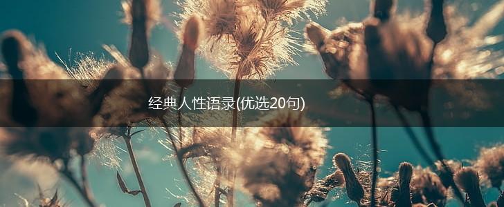 经典人性语录(优选20句),第1张